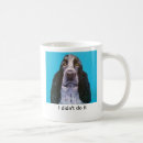 Recherche de épagneul springer anglais maison deco Animaux familiers
