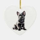 Recherche de schipperke maison deco Animal