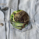 Recherche de rhino badges Faune