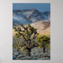 Suche nach mojave desert poster California