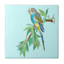 Recherche de bougie carreaux Oiseau