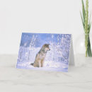 Recherche de canis vœux cartes Neige