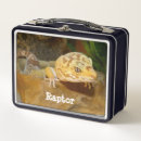 Suche nach gecko lebensmittel aufbewahrung Tier