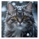 Suche nach rote katze fliesen Kätzchen