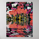 Suche nach cyclamen poster Rosa
