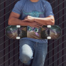 Recherche de dragon skateboards Coloré