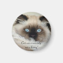 Recherche de birmans magnets Chats