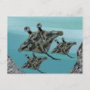 Suche nach manta ray poster Meer