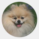 Suche nach loulou aufkleber Sitzung