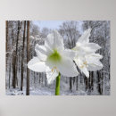 Suche nach schnee poster Urlaub