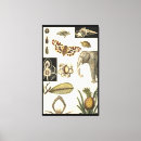 Suche nach schmetterling poster leinwandbilder Tiere