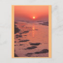 Suche nach flut postkarten Sonnenaufgang
