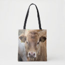 Suche nach kuh und kalb taschen Kühe