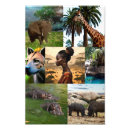 Suche nach hyänen poster Elefant