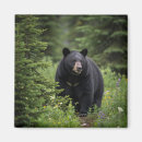 Recherche de roche noire magnets Travel