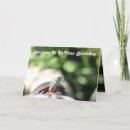 Suche nach wild geburtstag karten Grün