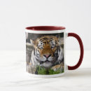 Recherche de amur tasses Faune