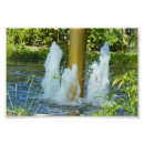 Recherche de danse photographie posters Nature
