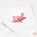 Recherche de papaver autocollants Fleur