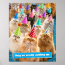 Recherche de chats drôles posters Anniversaire