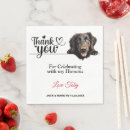 Suche nach flat coated retriever Hund