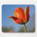 Suche nach tulpe blume mousepads Natur