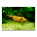 Suche nach salzwasser karten Fisch