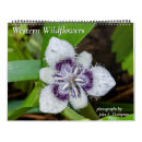Suche nach wiese büro zubehör Wildblume
