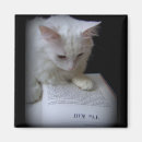 Recherche de griffe magnets Chat