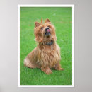 Suche nach nose art poster Hund