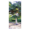 Recherche de arbre cartes publicitaires Vert