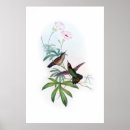 Suche nach hummingbird poster Drucken