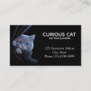 Recherche de yeux bleus cartes visite Chat