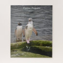 Recherche de scotland puzzles Nature