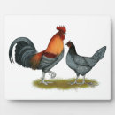 Recherche de poule plaques Coq