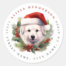 Recherche de chiot blanc autocollants Vacances