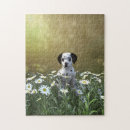 Recherche de dalmatien puzzles Mignon