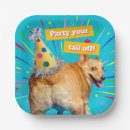 Suche nach corgi party teller Hund