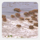 Recherche de habitat autocollants Faune