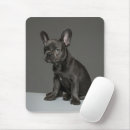 Recherche de french bulldog tapis souris Puppy