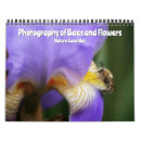 Recherche de abeille photographie Nature