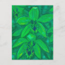 Suche nach blühende orchideen postkarten Für sie