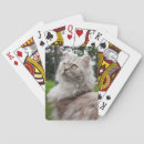 Recherche de chocolat jeux de cartes Animal