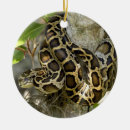 Suche nach python ornamente Tier