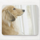 Suche nach fenster mousepads Niedlich