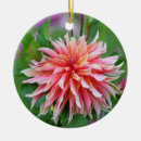 Suche nach kreise fotodruck Blume