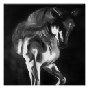 Suche nach graues pony poster Reiter
