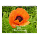 Recherche de fleurs calendriers Nature