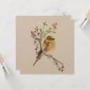 Suche nach kanarienvögel karten Singvogel