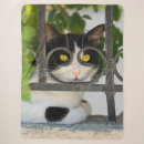 Suche nach brillen decken Kitty